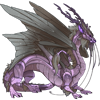 Unnamed dragon