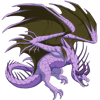 Unnamed dragon