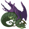 Unnamed dragon