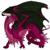 Unnamed dragon