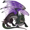 Unnamed dragon