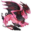 Unnamed dragon