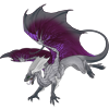 Unnamed dragon