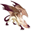 Unnamed dragon