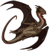 Unnamed dragon