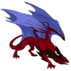 Unnamed dragon