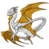 Unnamed dragon