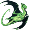 Unnamed dragon