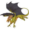 Unnamed dragon