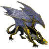 Unnamed dragon