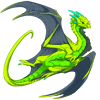 Unnamed dragon