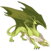 Unnamed dragon