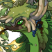 Amora's avatar