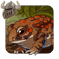 Toad Companion