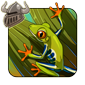 Red-eyed Tree Frog Companion