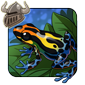 Poison Dart Frog Companion
