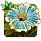 Speckled Petunia