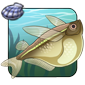 Hatchetfish
