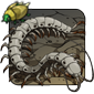 Giant Desert Centipede