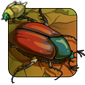Two-Tone June Beetle