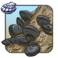 Cragside Mussels