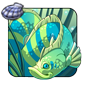 Goldbelly Dragonfish