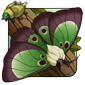 Reverse Silkworm Moth