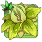 Greenpod Bloom