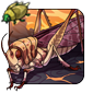 Common Locust