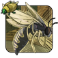 Two-tone Wasp
