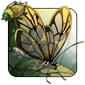 Shatterwing Butterfly