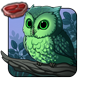 Wildwood Owlet
