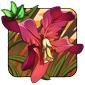 Delta Orchid