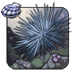 Snowflake Urchin