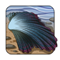 Fluted Seashell