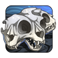 Ferberus Skull