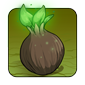 Unhatched Nature Egg