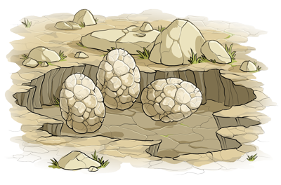 3 egg Earth nest